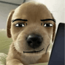 쿼카